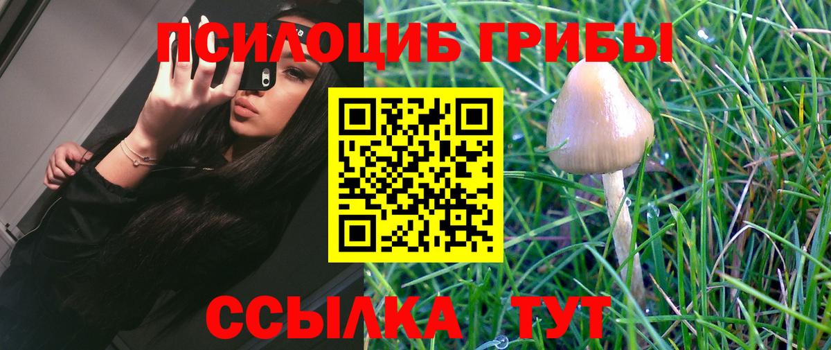 Псилоцибиновые грибы GOLDEN TEACHER Добрянка
