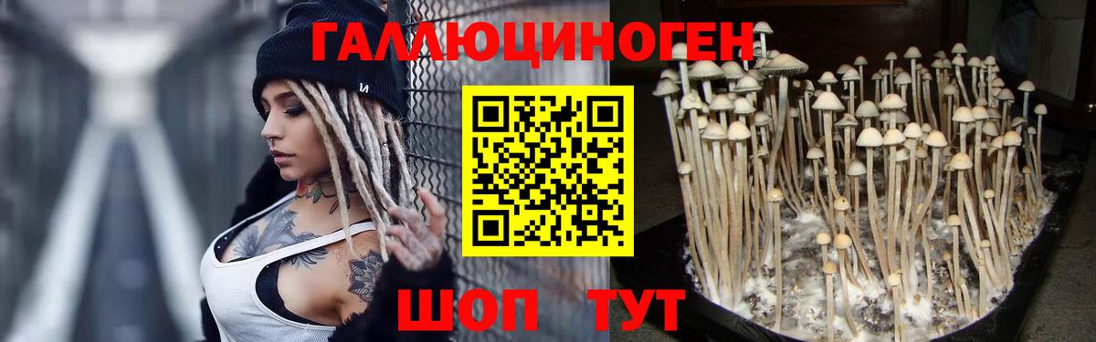 Галлюциногенные грибы мухоморы  Вход с VPN  Добрянка  Псилоцибиновые грибы ЛСД 